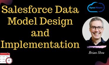 Salesforce Data Model Design and Implementation